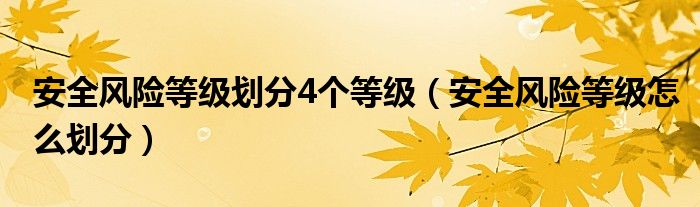 安全风险等级划分4个等级（安全风险等级怎么划分）