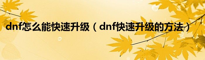 dnf怎么能快速升级（dnf快速升级的方法）