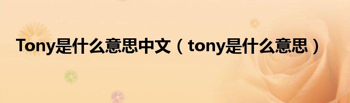 Tony是什么意思中文（tony是什么意思）