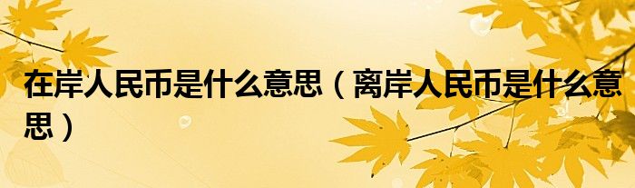 在岸人民币是什么意思（离岸人民币是什么意思）