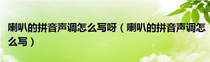 喇叭的拼音声调怎么写呀（喇叭的拼音声调怎么写）