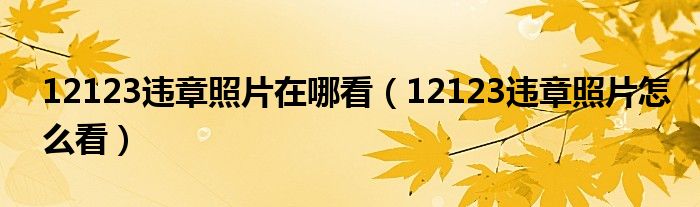 12123违章照片在哪看（12123违章照片怎么看）