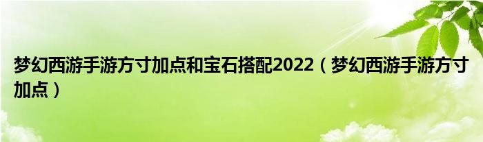 梦幻西游手游方寸加点和宝石搭配2022（梦幻西游手游方寸加点）