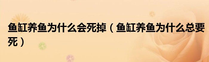 鱼缸养鱼为什么会死掉（鱼缸养鱼为什么总要死）