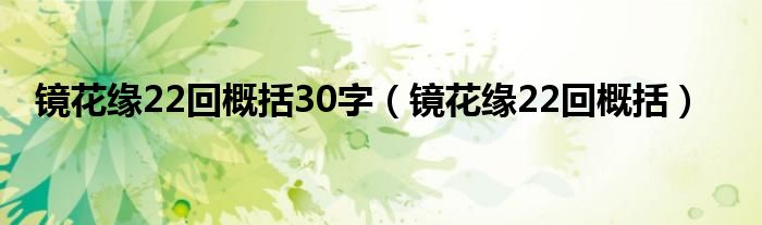 镜花缘22回概括30字（镜花缘22回概括）