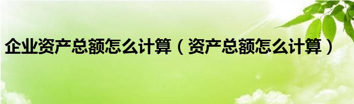 企业资产总额怎么计算（资产总额怎么计算）