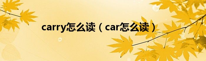 carry怎么读（car怎么读）