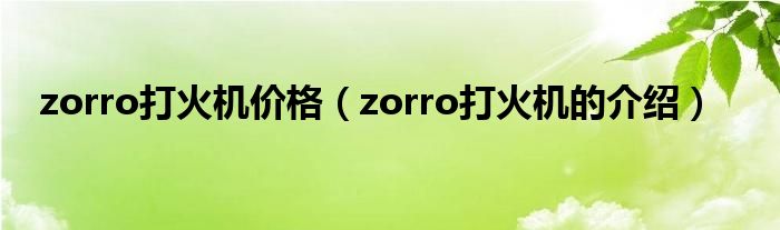 zorro打火机价格（zorro打火机的介绍）