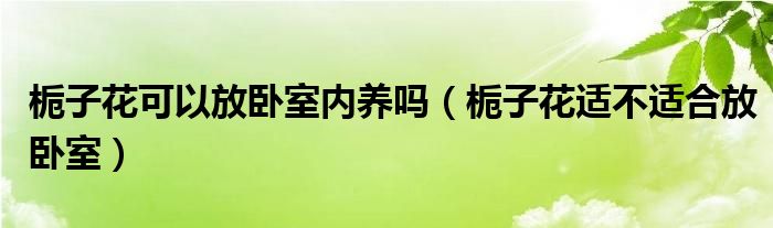 栀子花可以放卧室内养吗（栀子花适不适合放卧室）