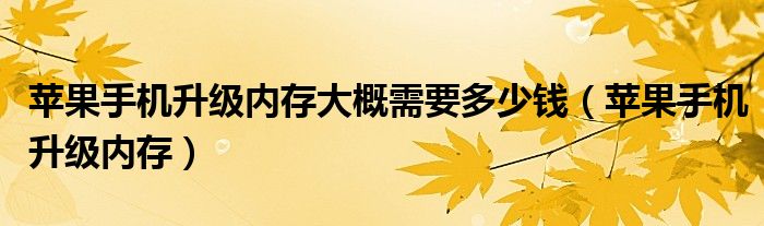 苹果手机升级内存大概需要多少钱（苹果手机升级内存）