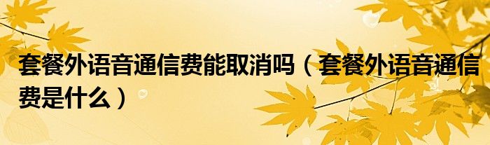 套餐外语音通信费能取消吗（套餐外语音通信费是什么）