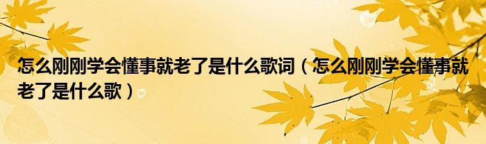 怎么刚刚学会懂事就老了是什么歌词（怎么刚刚学会懂事就老了是什么歌）