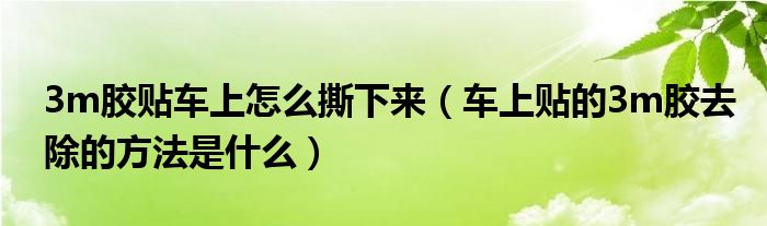 3m胶贴车上怎么撕下来（车上贴的3m胶去除的方法是什么）