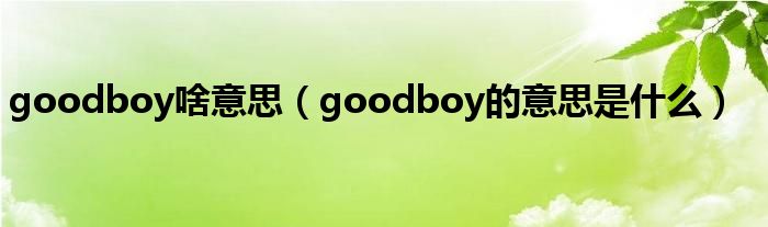 goodboy啥意思（goodboy的意思是什么）