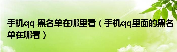 手机qq 黑名单在哪里看（手机qq里面的黑名单在哪看）