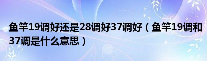 鱼竿19调好还是28调好37调好（鱼竿19调和37调是什么意思）