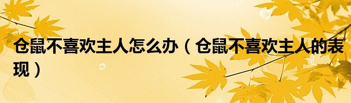 仓鼠不喜欢主人怎么办（仓鼠不喜欢主人的表现）