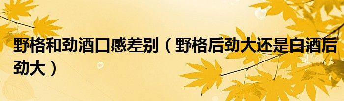 野格和劲酒口感差别（野格后劲大还是白酒后劲大）