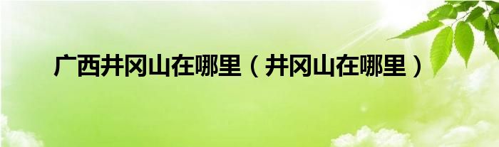 广西井冈山在哪里（井冈山在哪里）