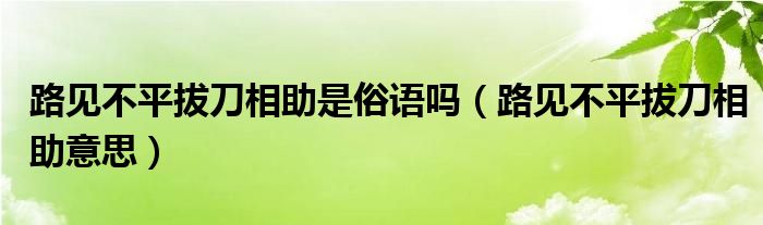 路见不平拔刀相助是俗语吗（路见不平拔刀相助意思）