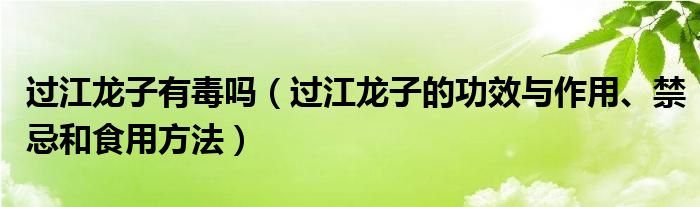 过江龙子有毒吗（过江龙子的功效与作用、禁忌和食用方法）