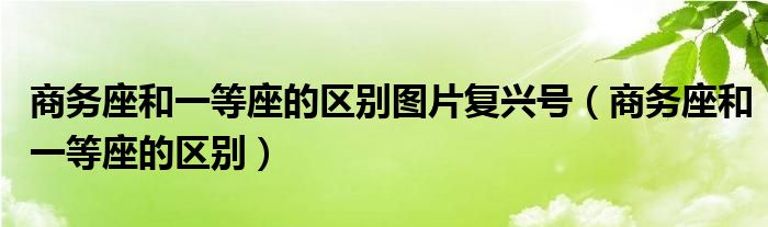 商务座和一等座的区别图片复兴号（商务座和一等座的区别）