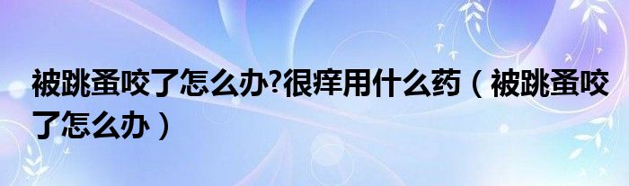 被跳蚤咬了怎么办?很痒用什么药（被跳蚤咬了怎么办）