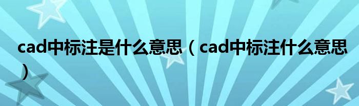 cad中标注是什么意思（cad中标注什么意思）