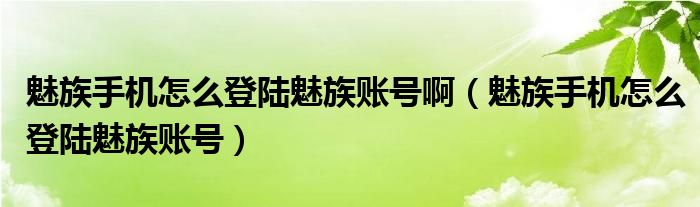 魅族手机怎么登陆魅族账号啊（魅族手机怎么登陆魅族账号）