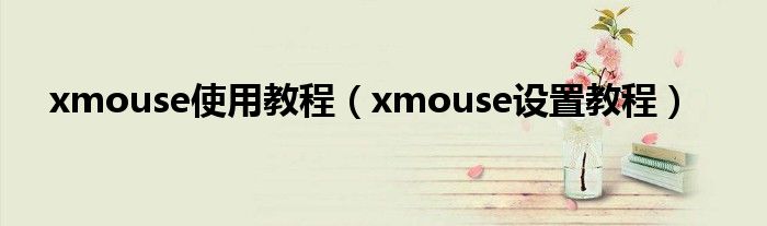 xmouse使用教程（xmouse设置教程）