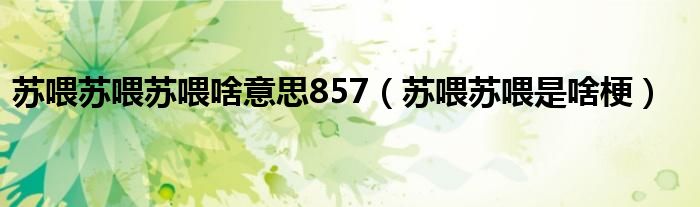 苏喂苏喂苏喂啥意思857（苏喂苏喂是啥梗）