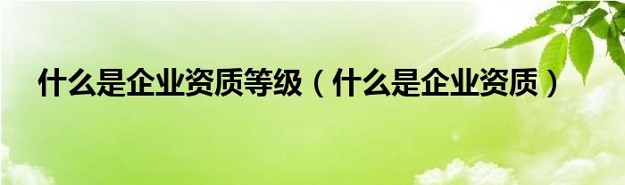 什么是企业资质等级（什么是企业资质）