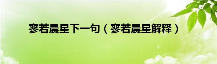 寥若晨星下一句（寥若晨星解释）