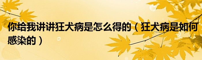 你给我讲讲狂犬病是怎么得的（狂犬病是如何感染的）