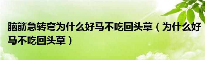 脑筋急转弯为什么好马不吃回头草（为什么好马不吃回头草）