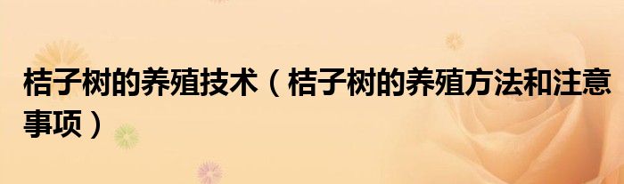 桔子树的养殖技术（桔子树的养殖方法和注意事项）