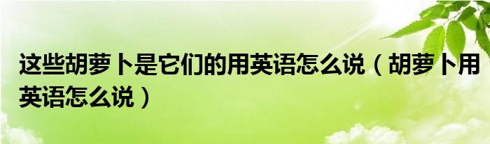 这些胡萝卜是它们的用英语怎么说（胡萝卜用英语怎么说）