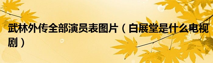 武林外传全部演员表图片（白展堂是什么电视剧）