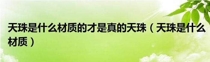 天珠是什么材质的才是真的天珠（天珠是什么材质）