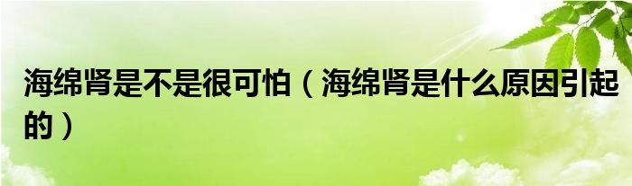 海绵肾是不是很可怕（海绵肾是什么原因引起的）