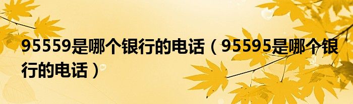 95559是哪个银行的电话（95595是哪个银行的电话）