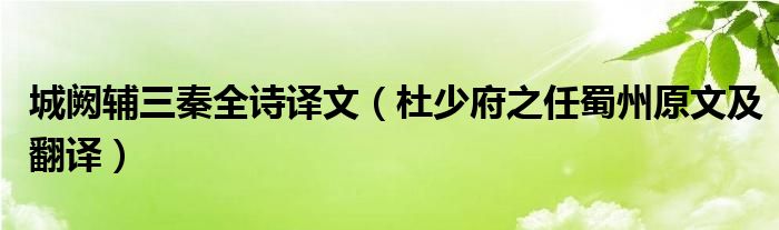 城阙辅三秦全诗译文（杜少府之任蜀州原文及翻译）