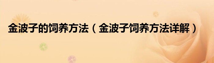 金波子的饲养方法（金波子饲养方法详解）