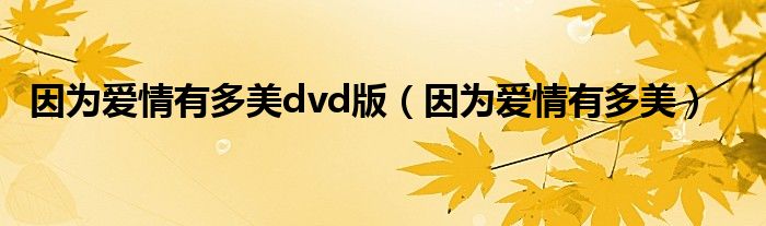 因为爱情有多美dvd版（因为爱情有多美）