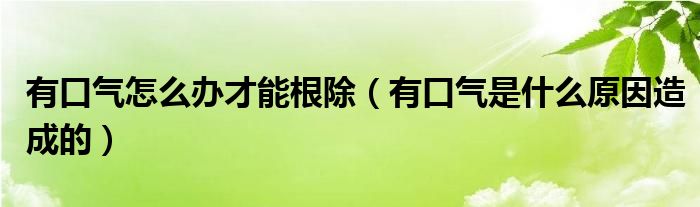 有口气怎么办才能根除（有口气是什么原因造成的）