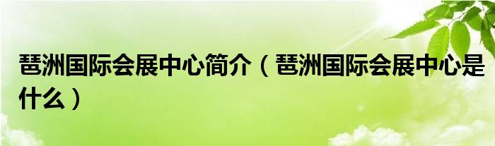 琶洲国际会展中心简介（琶洲国际会展中心是什么）