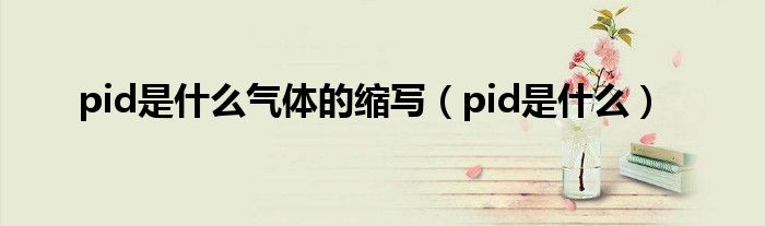 pid是什么气体的缩写（pid是什么）