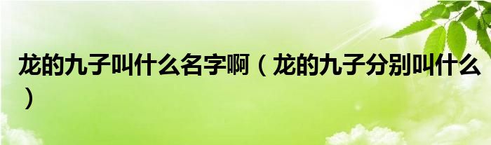 龙的九子叫什么名字啊（龙的九子分别叫什么）