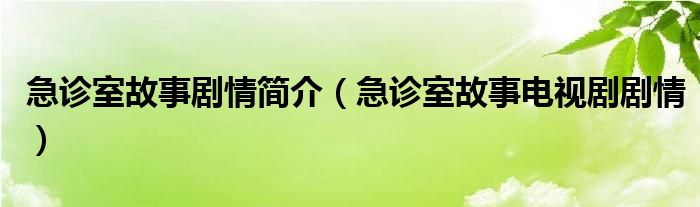 急诊室故事剧情简介（急诊室故事电视剧剧情）