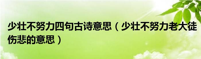 少壮不努力四句古诗意思（少壮不努力老大徒伤悲的意思）